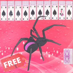 ikon Spider Solitarie English