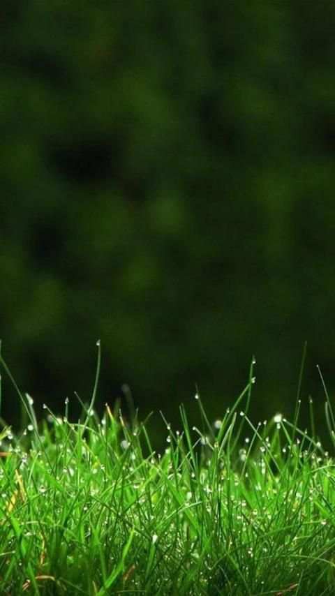 HD Backgrounds(Wallpaper) screenshot 7