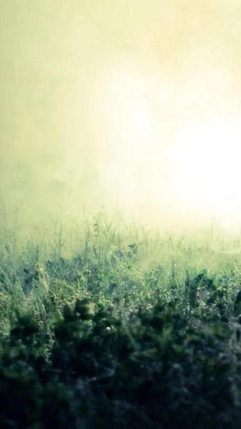 HD Backgrounds(Wallpaper) screenshot 5
