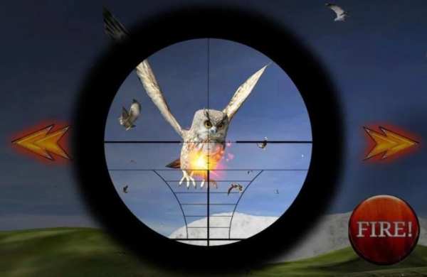 Jungle Bird Hunter screenshot 2