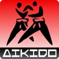 Aikido training