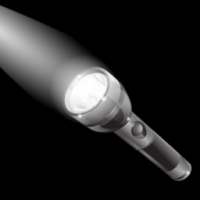 Flash Light