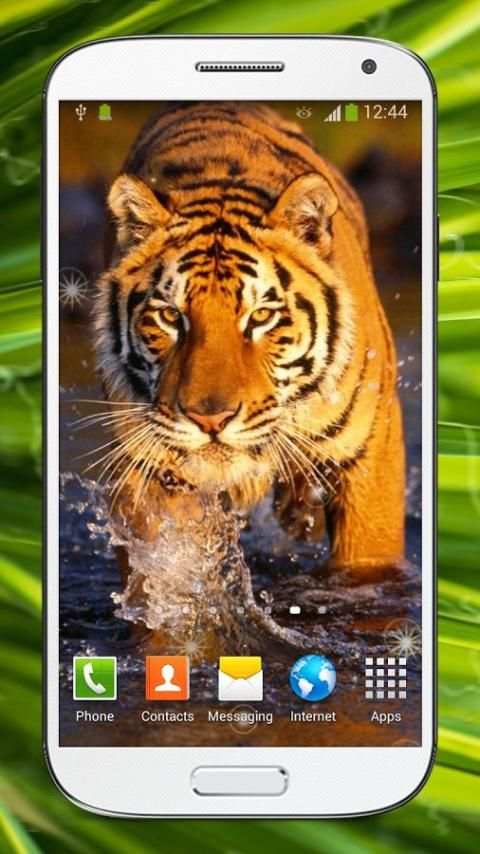 Bengal Tiger Live Wallpaper screenshot 5