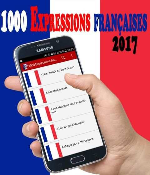 1000 Expressions françaises скриншот 3