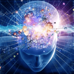 الدماغ التدريب أيقونة