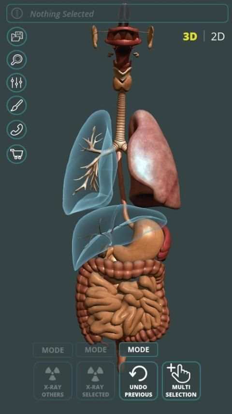 Visual Anatomy 3D | Human स्क्रीनशॉट 11