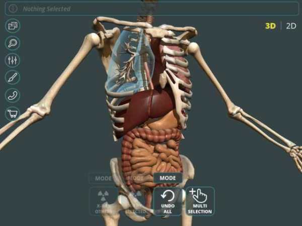 Visual Anatomy 3D | Human स्क्रीनशॉट 3