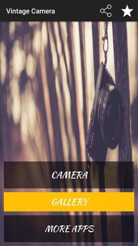 Vintage Camera screenshot 7