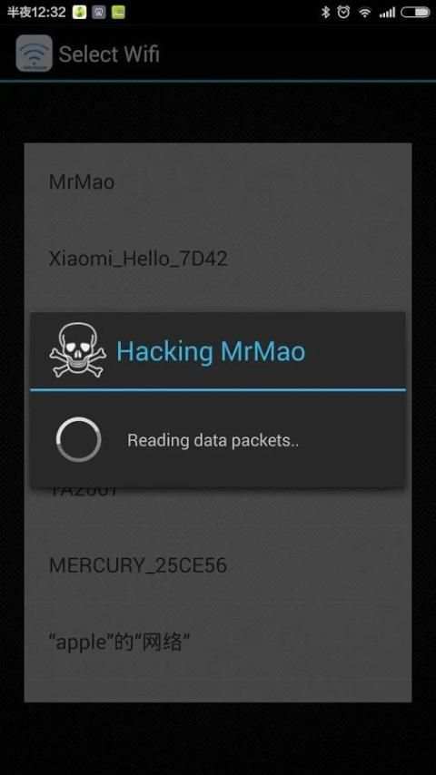 WiFi Password Hacker Simulator screenshot 2