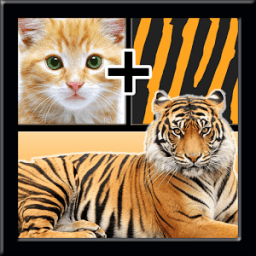 2 Pics 1 Word Quiz أيقونة