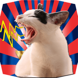 best voice editor with effects icon