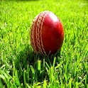 ikon Howzat Cricket 2D