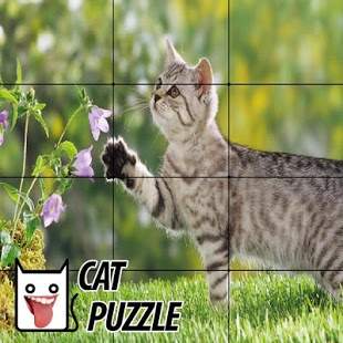 Funny Cat Puzzle screenshot 1