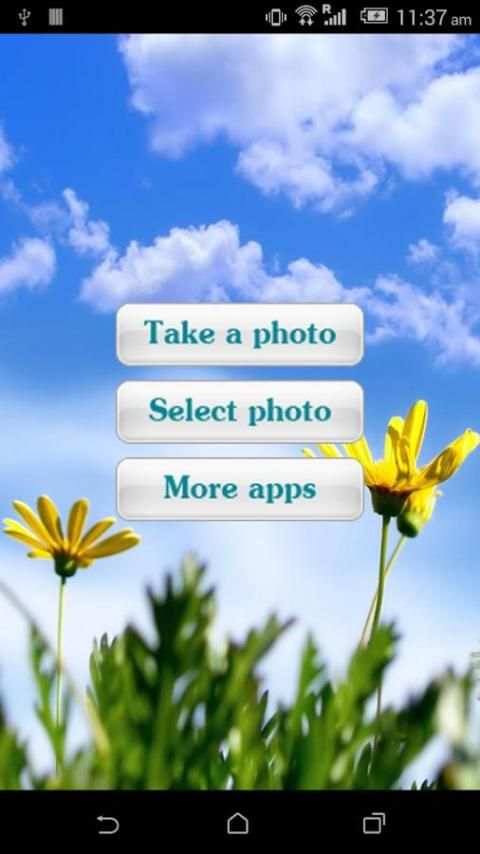 Flowers Photo Frames screenshot 5