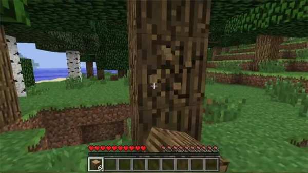 Multicraft Pro Edition скриншот 2