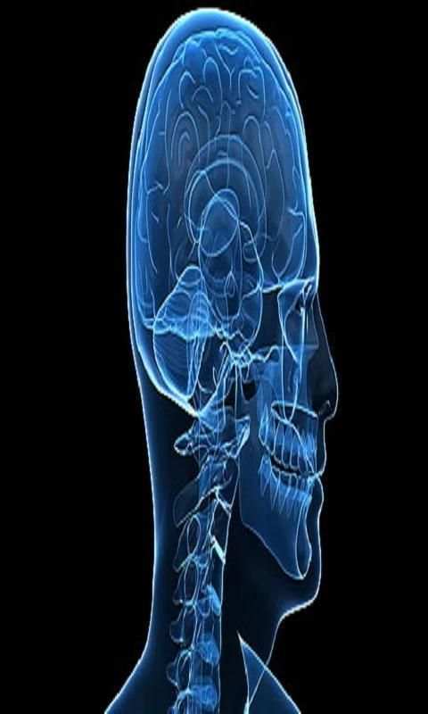 Xray Scanner скриншот 2