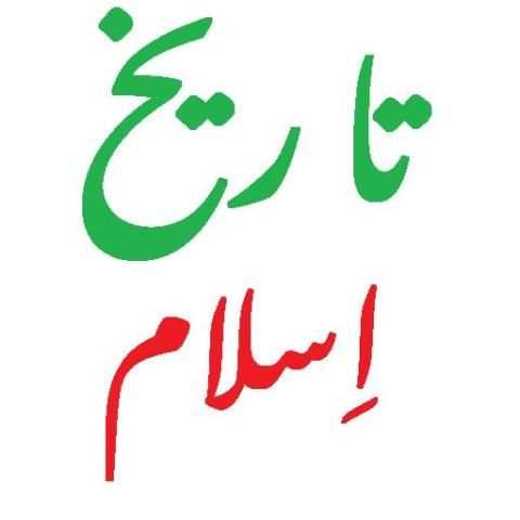 Tareekh e Islam (Urdu) скриншот 1
