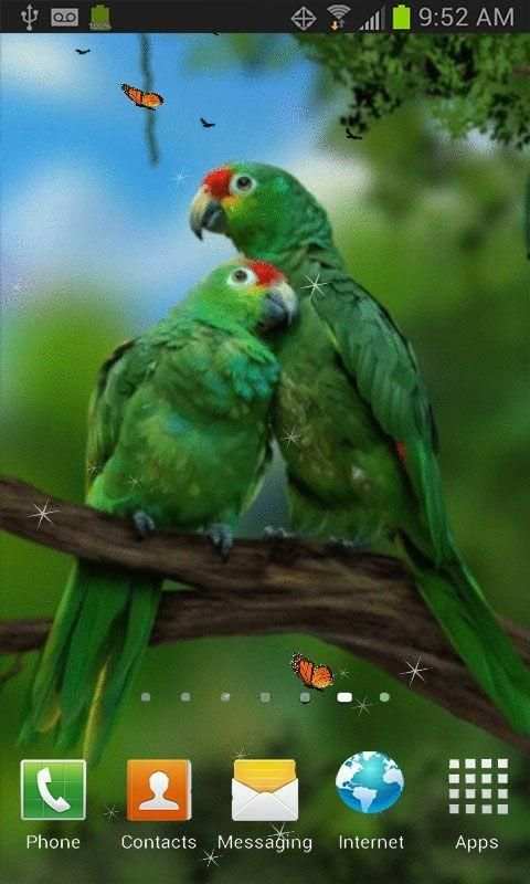 Parrot Love Birds Live Wallpaper screenshot 2