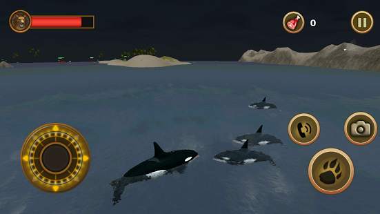 Orca Survival Simulator screenshot 12