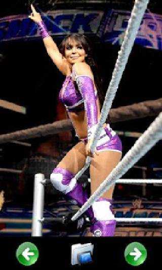 WWE Divas Fan Game screenshot 6