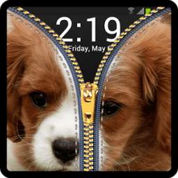Zipper Lock Screen Puppy