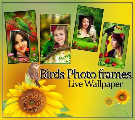 Birds Photo Frames LWP स्क्रीनशॉट 1