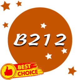 ikon B212 - Retrica Selfie Overlay