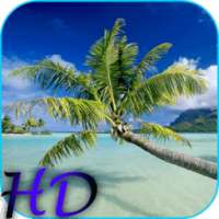 Beach HD Video Live Wallpaper