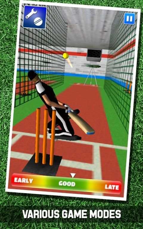 Cricket Simulator 3D screenshot 1