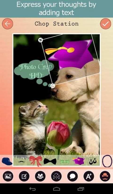 Photo Crop HD скриншот 1