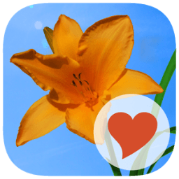 640 Photos أيقونة