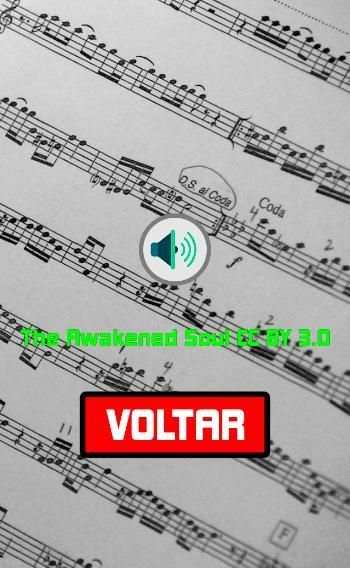 Músicas Para Relaxar screenshot 2