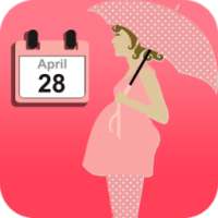 Pregnancy Calculator