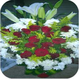 صور ورد 1.0