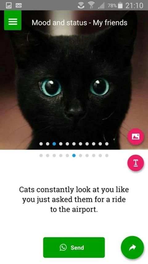 Messages for WhatsApp screenshot 4