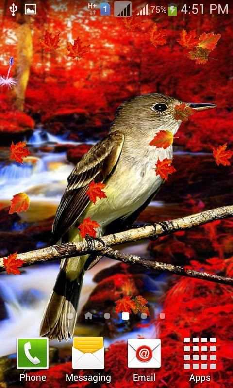Cute Birds Live Wallpaper 2 تصوير الشاشة