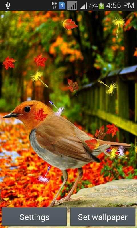 Cute Birds Live Wallpaper 1 تصوير الشاشة