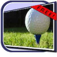 David Toms - Daily Stats