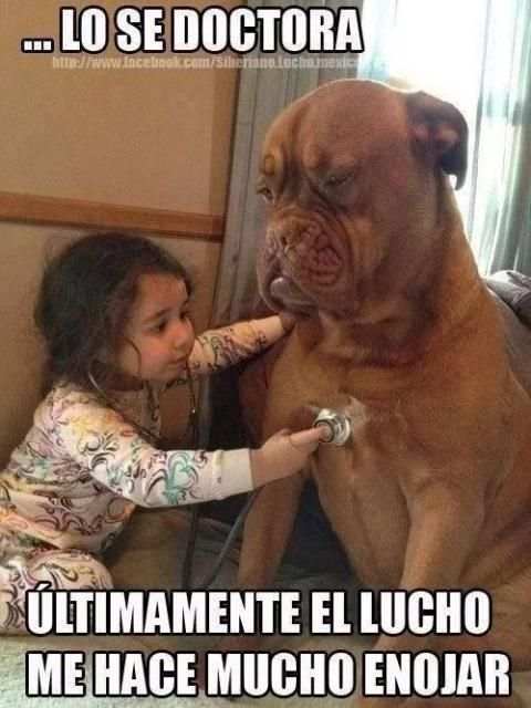 Fotos para whatsapp screenshot 3