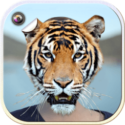 Animal Face Photo Editing icon