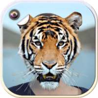 Animal Face Photo Editing on 9Apps