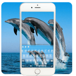 Темы для Dolphin Keyboard иконка