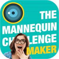 The Mannequin Challenge Maker