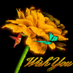 ikon Bird Flower Live Wallpaper