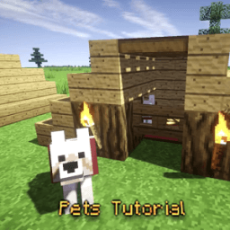 ikon Pet Tutorial - Minecraft