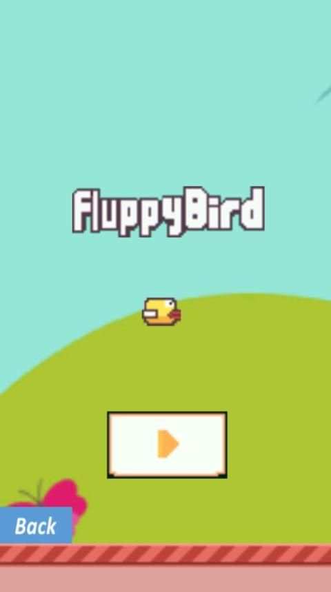Flppy Bird screenshot 6