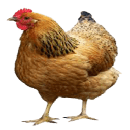 FarmersApp أيقونة