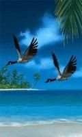 Flying birds 2 live wallpaper screenshot 2