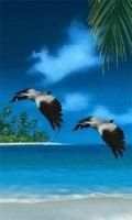 Flying birds 2 live wallpaper screenshot 1