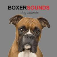 Boxer Dog Sounds & Dog Barking